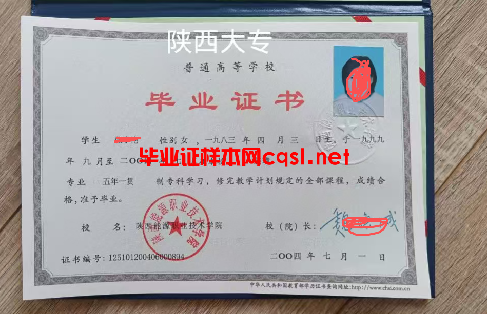 2004年陕西能源职业技术学院毕业证样本-原版图片-模板