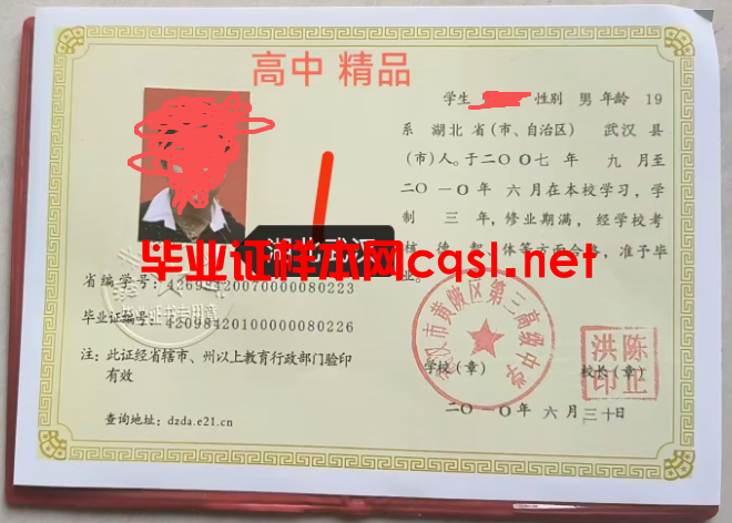 2010年湖北武汉市黄陂区第三高级中学毕业证学位证模板/样本图片