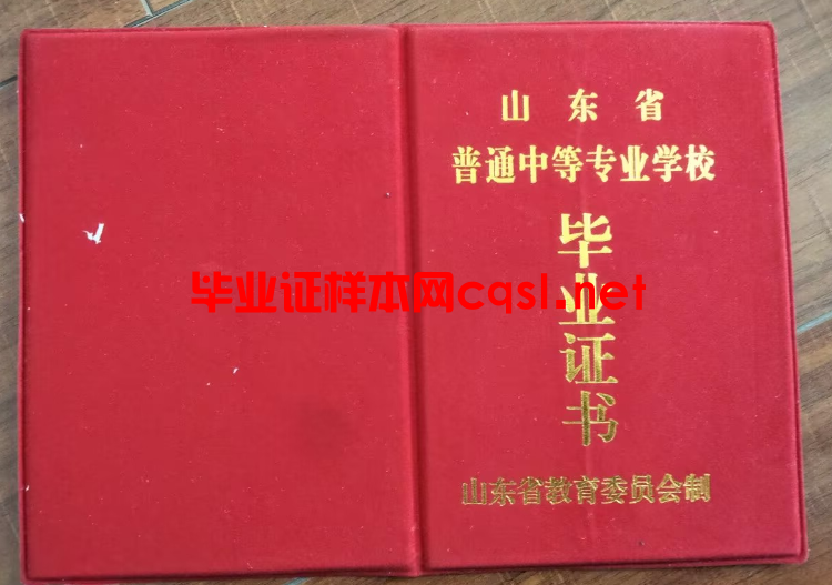 山东中专毕业证样本