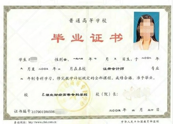 湖北财经高等专科学校毕业证样本图片