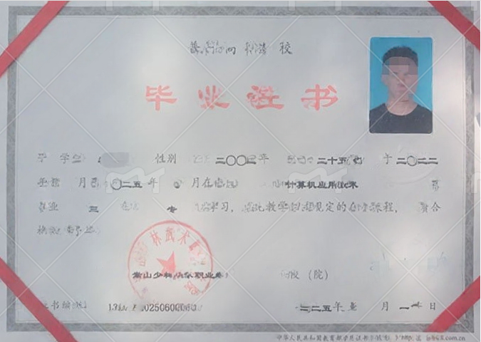 嵩山少林武术职业学院毕业证样本图片