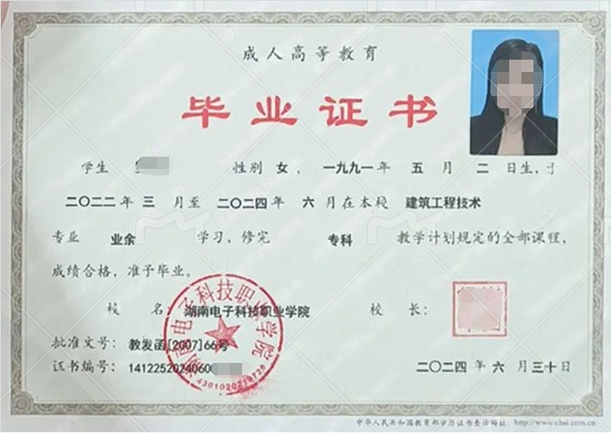 湖南电子科技职业学院毕业证样本图片