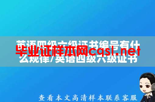 英语四级六级证书编号有什么规律/英语四级六级证书模板图片